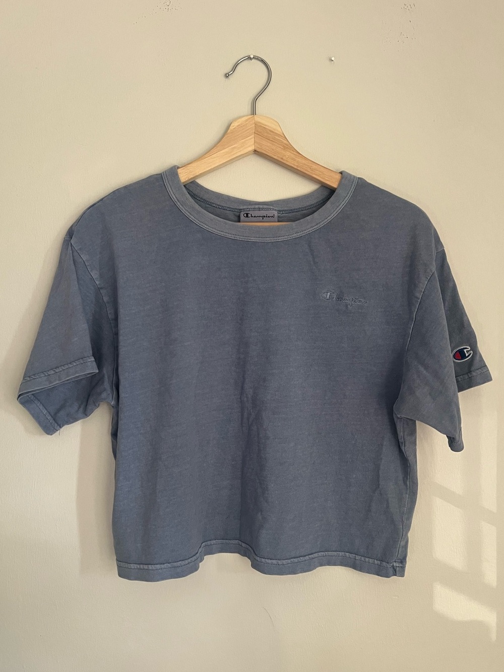 Champion Cropped Tee in Faded Blue/Purple